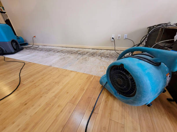 Professional Water Damage Repair technician working in Chesterfield, NH